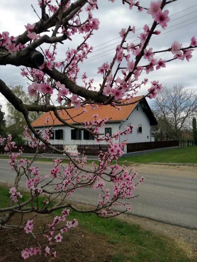 Szentgyörgyvölgy Vendégház Őrség Szentgyorgyvolgy Extérieur photo